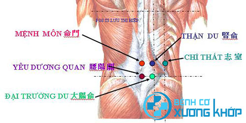 Hướng dẫn cách xoa bóp bấm huyệt chữa thoát vị đĩa đệm Hướng dẫn cách xoa bóp bấm huyệt chữa thoát vị đĩa đệm