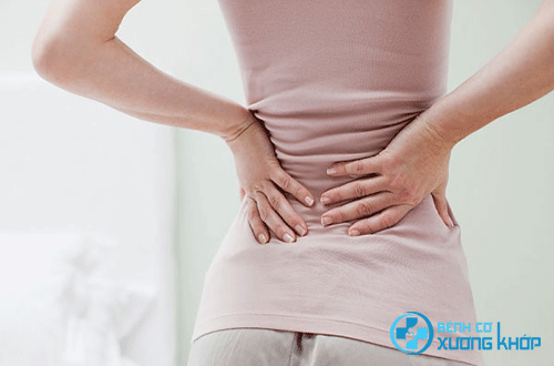Công dụng của một số vị thuốc Đông Y điều trị hiệu quả bệnh đau lưng