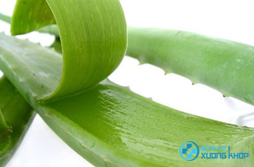 Nha đam chữa bệnh viêm đại tràng hiệu quả Nha đam chữa bệnh viêm đại tràng hiệu quả