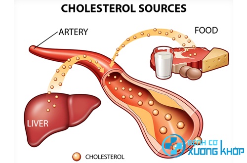 Bác sĩ chỉ ra 6 thói quen tai hại khiến lượng cholesterol trong máu tăng