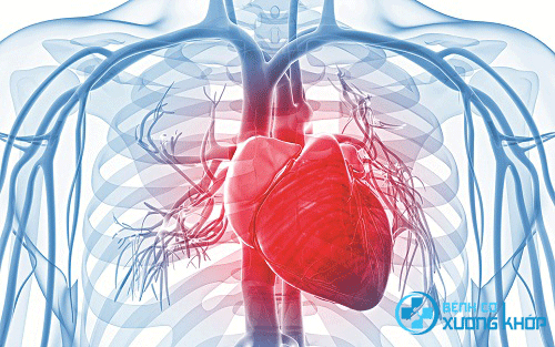 Bảo vệ hiệu quả hệ tim mạch chỉ nhờ 6 phương pháp vô cùng đơn giản 