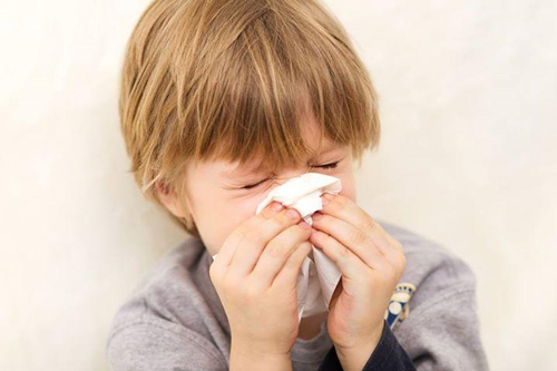 Trẻ hay bị viêm mũi dị ứng